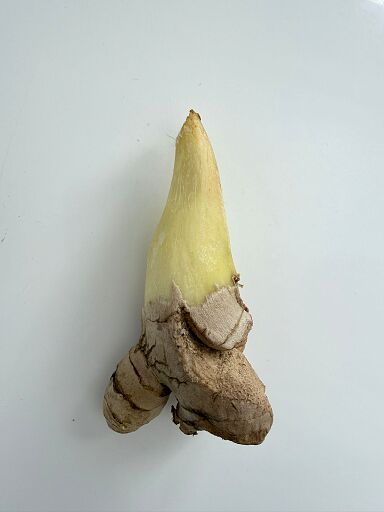 Featured Nav Image 1