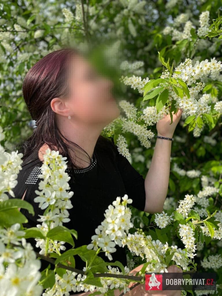 Featured Nav Image 1