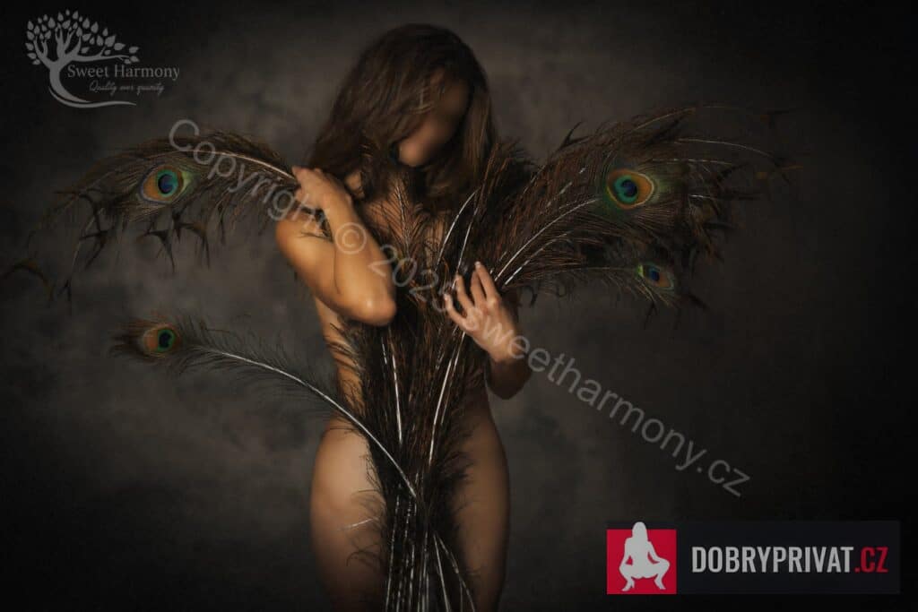 Featured Nav Image 1